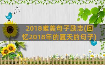 2018唯美句子励志(回忆2018年的夏天的句子)