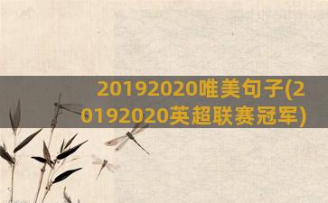 20192020唯美句子(20192020英超联赛冠军)