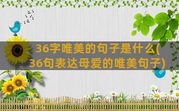 36字唯美的句子是什么(36句表达母爱的唯美句子)