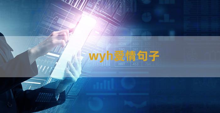 wyh爱情句子