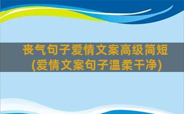 丧气句子爱情文案高级简短(爱情文案句子温柔干净)