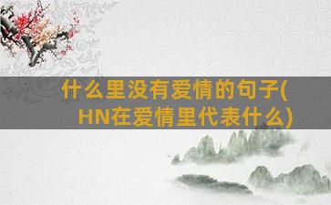 什么里没有爱情的句子(HN在爱情里代表什么)