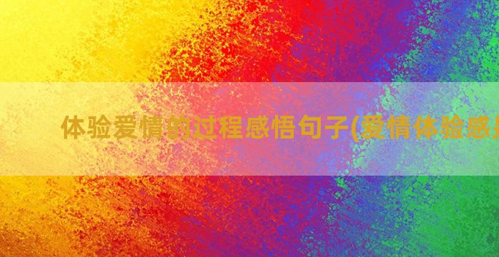 体验爱情的过程感悟句子(爱情体验感是什么)