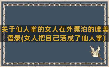 关于仙人掌的女人在外漂泊的唯美语录(女人把自己活成了仙人掌)