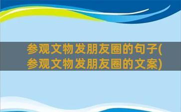 参观文物发朋友圈的句子(参观文物发朋友圈的文案)