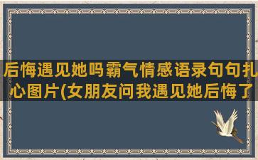 后悔遇见她吗霸气情感语录句句扎心图片(女朋友问我遇见她后悔了吗)