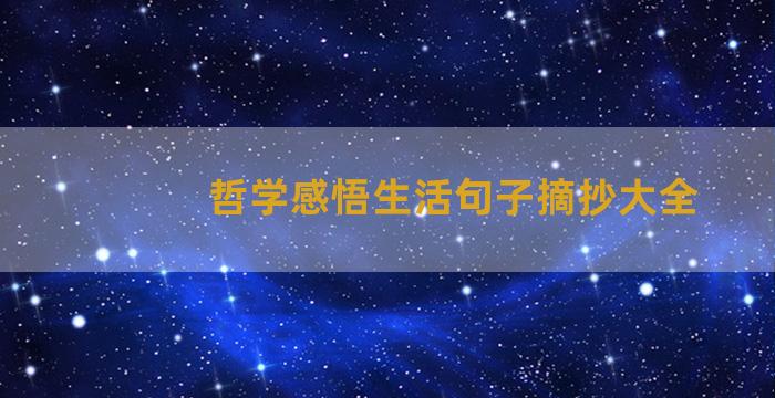 哲学感悟生活句子摘抄大全