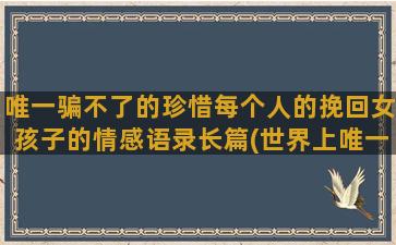 唯一骗不了的珍惜每个人的挽回女孩子的情感语录长篇(世界上唯一骗不了的是自己的心)