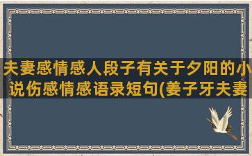 夫妻感情感人段子有关于夕阳的小说伤感情感语录短句(姜子牙夫妻感情段子)