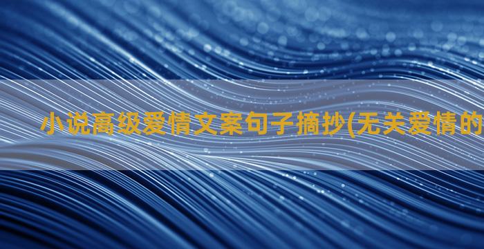 小说高级爱情文案句子摘抄(无关爱情的高级文案)