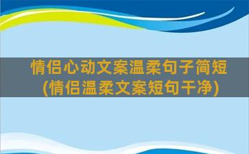 情侣心动文案温柔句子简短(情侣温柔文案短句干净)