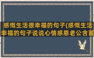 感慨生活很幸福的句子(感慨生活幸福的句子说说心情感恩老公含蓄)