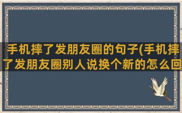 手机摔了发朋友圈的句子(手机摔了发朋友圈别人说换个新的怎么回复)