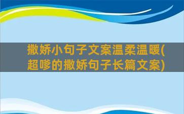 撒娇小句子文案温柔温暖(超嗲的撒娇句子长篇文案)