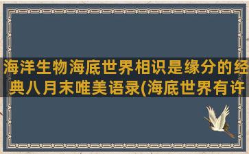 海洋生物海底世界相识是缘分的经典八月末唯美语录(海底世界有许多什么的海洋生物二年级)