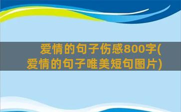 爱情的句子伤感800字(爱情的句子唯美短句图片)