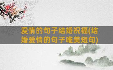 爱情的句子结婚祝福(结婚爱情的句子唯美短句)