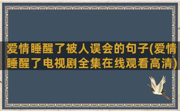 爱情睡醒了被人误会的句子(爱情睡醒了电视剧全集在线观看高清)