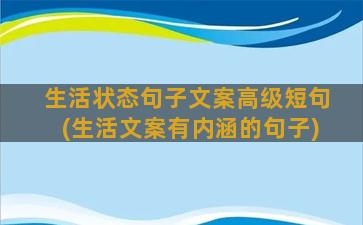 生活状态句子文案高级短句(生活文案有内涵的句子)