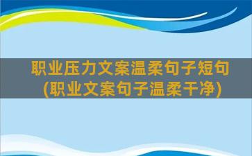 职业压力文案温柔句子短句(职业文案句子温柔干净)