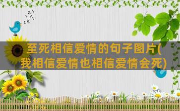 至死相信爱情的句子图片(我相信爱情也相信爱情会死)