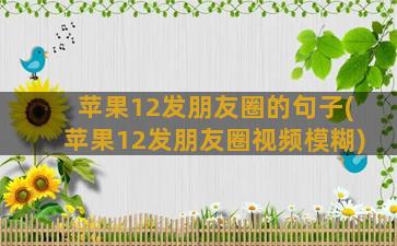 苹果12发朋友圈的句子(苹果12发朋友圈视频模糊)