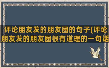 评论朋友发的朋友圈的句子(评论朋友发的朋友圈很有道理的一句话)