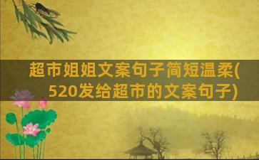 超市姐姐文案句子简短温柔(520发给超市的文案句子)